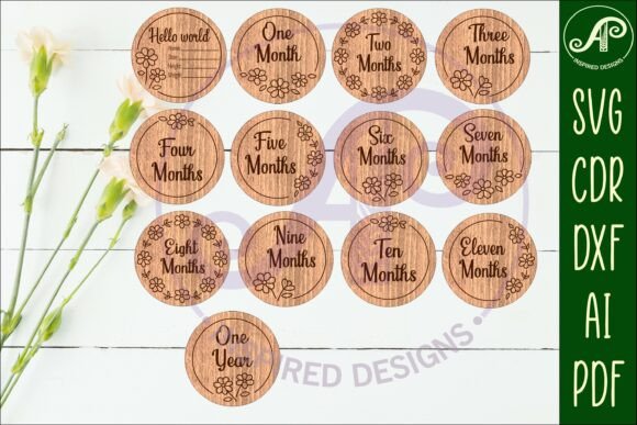 Baby Milestone Discs Daisy Floral Graphics for Crafts