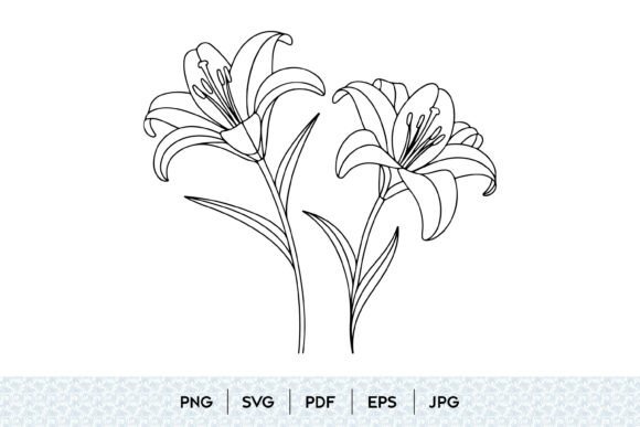 Lily Flower Line Art for Graphic Design Projects